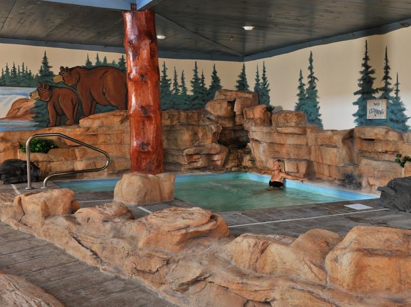Stoney Creek Hotel St. Joseph 設備 写真
